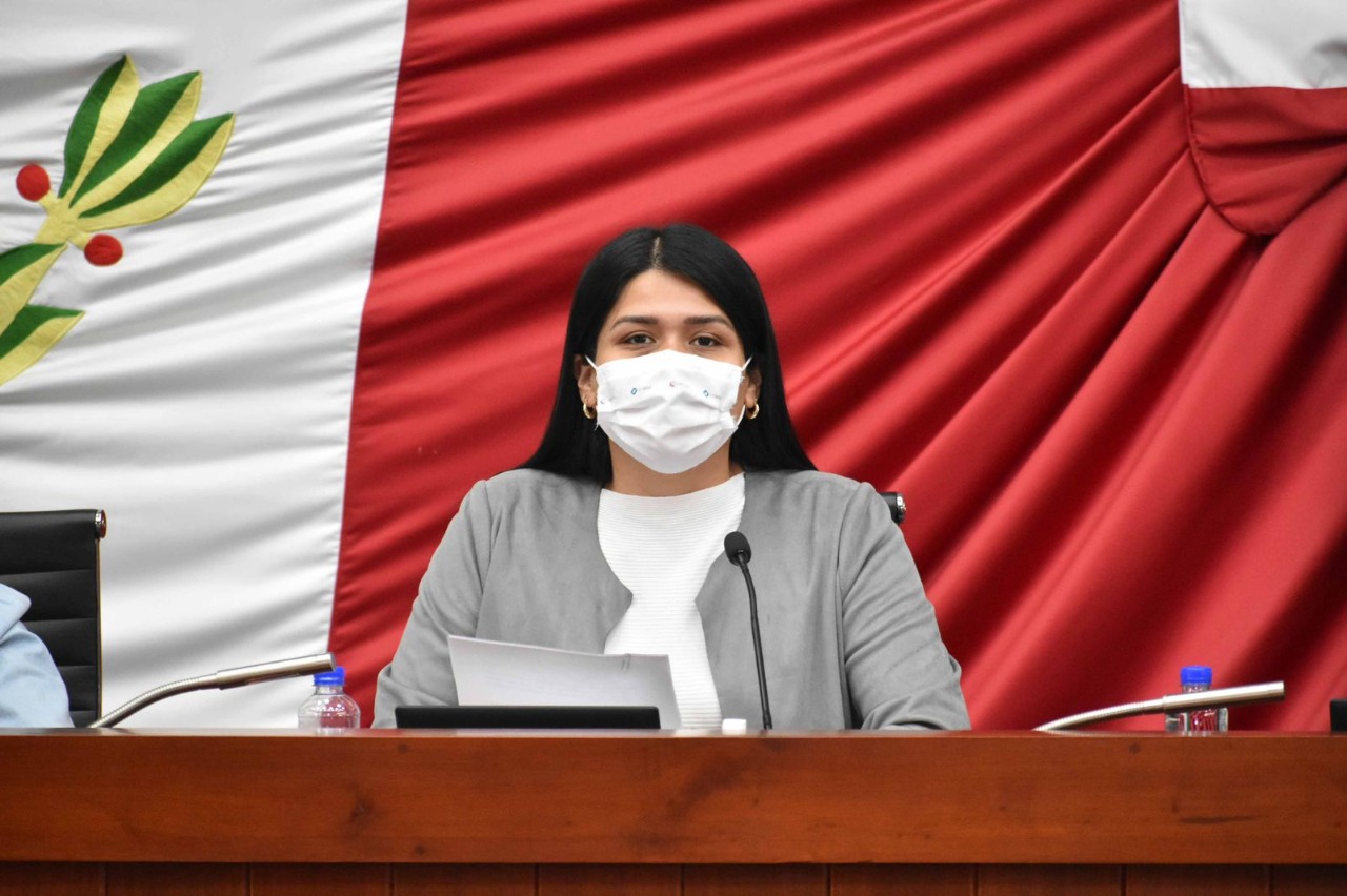 Propone Diana Torrejón Rodríguez creación de Ley de Zonas Conurbadas del Estado
